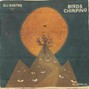 Rain beats - birds chirping
