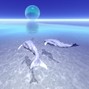 kfka - duo