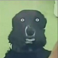 ProdxAnirud