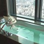 Jayu - Catspa