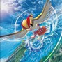 Jayu - Pidgeot