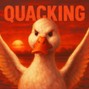DigiDucker - Cracking