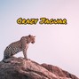 High Openness Beats - Crazy Jaguar