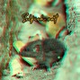 High Openness Beats - Selfish Rat