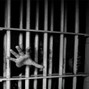 Jay Ivory - FREEDOM | TRACK | Now Available