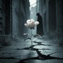 aloneintheroombeats - Dark Blossom