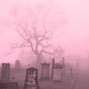 bloodsamples - perception