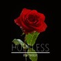 Entropy - BUY 2 GET 1 FREE | Hopeless