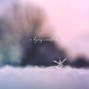 JD 77 - A DYING SNOWFLAKE {No Stems} | Drake, Alchemist, Larry June, Freddie Gibbs, Lo-Fi, Underground, Boombap, Chillhop