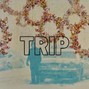 JD 77 - TRIP {No stems} | Drake, Billie Eilish, Pop, Alt Pop, Indie rock, Dreamy, Nostalgic