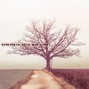 JD 77 - SOMEWHERE NICE AND QUIET {No Stems} | Taylor Swift, Singer Songwriter, Folk, Country, Female Artist, Acoustic Guitar