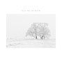 JD 77 - CAN WE GO BACK {No Stems} | Billie Eilish, Female Pop, Indie Pop, Nostalgic, Dreamy