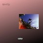 kyleslaps - identity