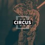 Brogs Beats - Circus