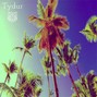 tydur - palmtree