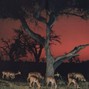 jsad28288 - "DOE DEER" (Beat switch) 156bpm