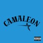 nkdanorth - CAMALEON Trap x R&B Type Beat  115 BPM