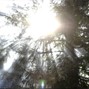 chps - subresbas | Ambient type beat | Jerk type beat | Experimental type beat |