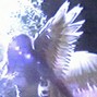 maskeq - crying angel