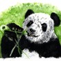 thebuddha. - changchang110