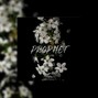 DISTANT - MOOK - "PROPHET" Type Beat | Free Instrumental 2019 | PROD. DISTANT