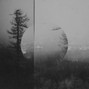 woefully - "lonely woods" - alternative dark emo rock type beat