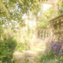 PRODtheloniush - Ambient joeyy / shed theory type beat "spring"