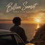 Isley Beatz - Billion Sunset | Rema Type Beat | Afrobeat 104BPM 