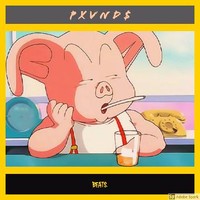 PXVNDS BEATS