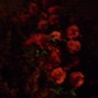 bugtrapbeats - Sleep Medicine @Mud Cry