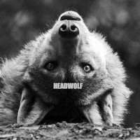 HEADWOLF
