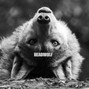 HEADWOLF - BOUNCY