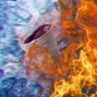 ViLol - ICEONFIRE