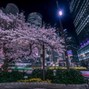 Coooooooollin - japan - 146 dm - coooooooollin