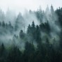 dark_matter - JUNGLE | Underground Hiphop x 90s OldSchool Boom Bap Type Beat