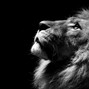 dark_matter - HUNTING | Agressive Boom Bap x 90s OldSchool Hiphop Type Beat
