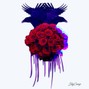 wzrdwvvy - my, own
