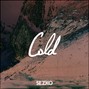 sezko - Cold (East Coast / Nas Type Emotional Beat)
