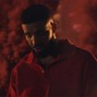 Carabu - Degrassi