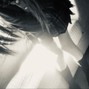 PERSONAH - 0563 BESTIARY 153 F#MIN PH