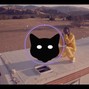 BlakKat206 - The Plug