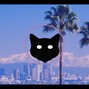 BlakKat206 - Show Me
