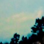 creek indigo - hydroxine