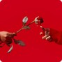 Gross God - Burning Rose