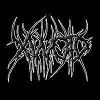 XVVOID