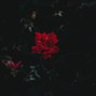 stckproject - "YACHT" - Lil Skies x Don Toliver Type | Prod. stckproject