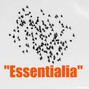 NieroBeats - Slow and Atmospheric Hip-Hop/Rap Beat "Essentialia"[100bpm]