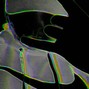 NieroBeats - Amnesia