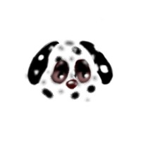 sslipsonly