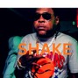 bluebeatsmusic254 - [FREE]“SHAKE” Vybes kartell FREESTLY Type Beat .